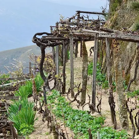 Casa Do Avo Serafim Nyaraló Cetos