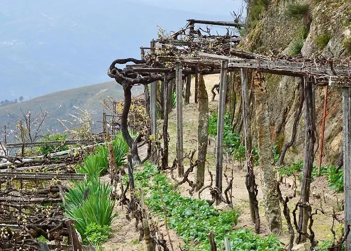 Casa Do Avo Serafim בית נופש Cetos